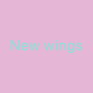 New wings