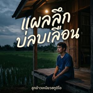 แผลลึกบ่ลบเลือน