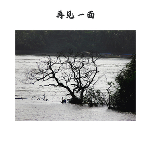 枯木生出芽 (静心曲)