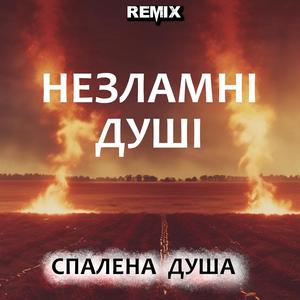 Не вернувся козак з поля (Український Шансон. Remix)