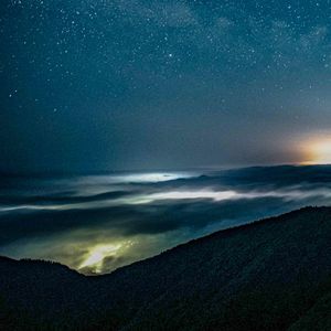 梧桐树的叶子在风中沙沙作响，像是在讲述古老的故事