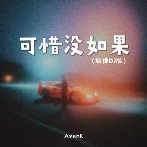 可惜没如果（旋律DJ版）