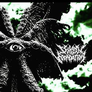 Incineration (hypocrisy)