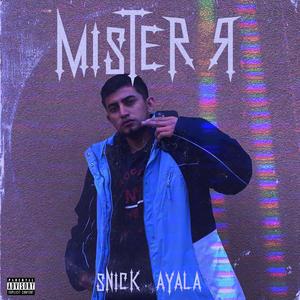MISTER R