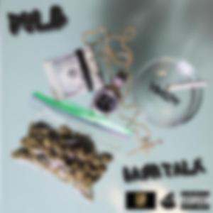 Lessons (feat. Shawn Scope)