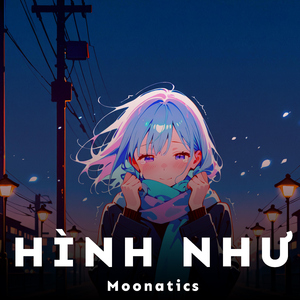 Hình Như