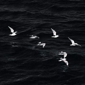 戒不掉（热搜版）