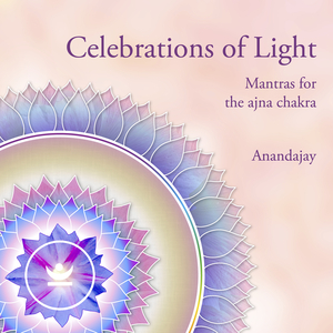 Aum Namo Bhagavate Mantra