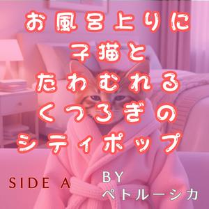 Chaton Danse dans le Vent du Sèche-Cheveux