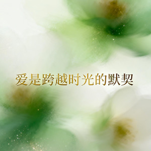 爱是跨越时光的默契