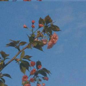 Chill Study ⛆Ⅱ lofi & Jazz Mix