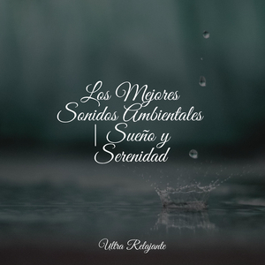 Vivir en el Presente