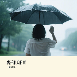 离开那天的雨