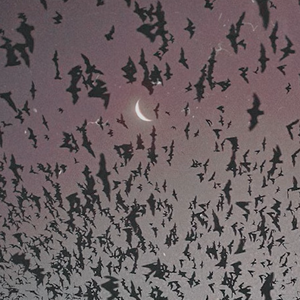 [FREE] “Fears”—Post Punk x Alternative Type Beat