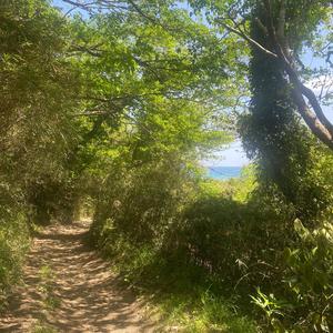 adventure at 小浦海岸