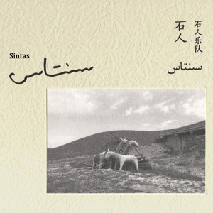 野马(AHSAH HULAN) WILD HORSES