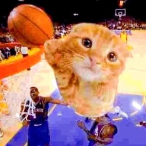 presi (feat. prod.aloa)