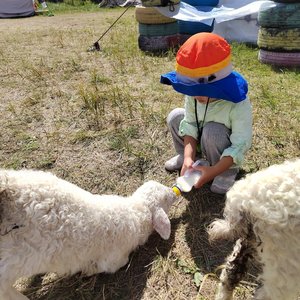 牵着我的手飞行