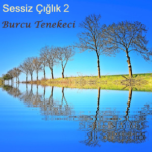 Sessiz Çığlık 2