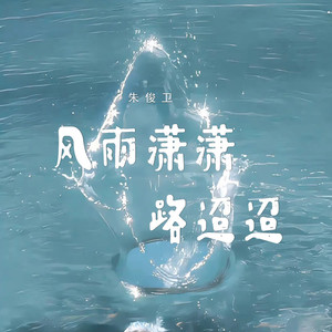 风雨潇潇路迢迢
