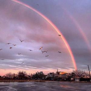 起风了(:何晶晶)