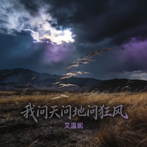 我问天问地问狂风