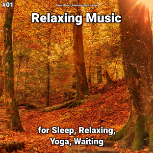Relaxing Music Pt. 67