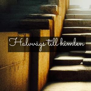 Halvvägs till himlen