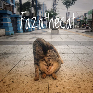 Kucing Nyanyi