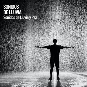 Lluvia y vegetación