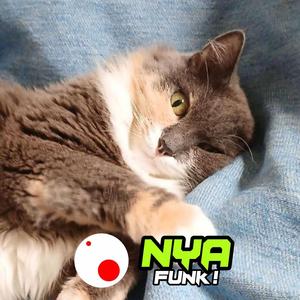 NYA FUNK