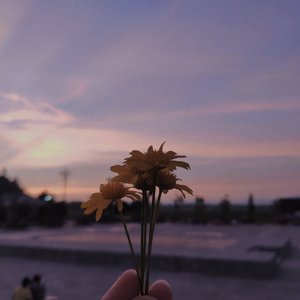 我抬头一看满街都是单身的狗