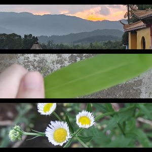 秋暮慢冷