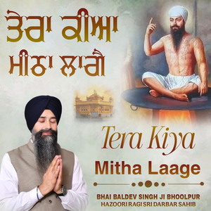 Tera Kiya Mitha Laage