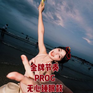 DJ大宝-全中文PROG金牌咚鼓美妙绝伦无心睡眠MUSIC慢摇大碟（DJ大宝 remix）