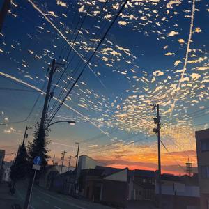 夏天的风（片段）