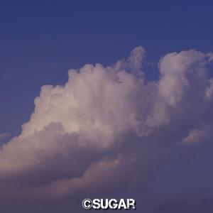 立体声环绕In the shadow of the sun(降调remix）