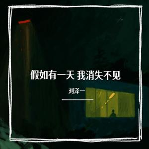 假如有一天我消失不见