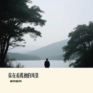 你在看孤独的风景 (Cover 本兮 & 单小源)