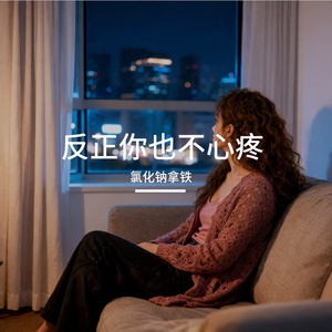 反正你也不心疼