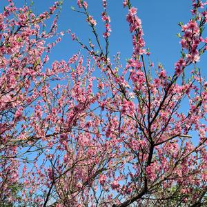 사랑의 순환 Kpop