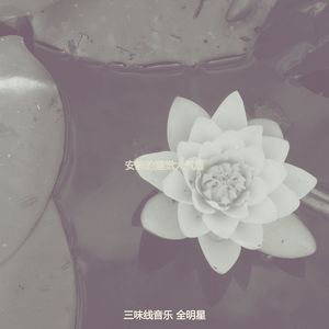 温和回春梦想