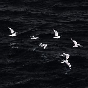 曾沛慈-够爱-DJ版（DJ与政 remix）