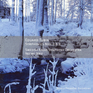 Symphony No. 3 in D Minor: II. Molto allegro e tempestoso