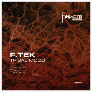 Tribal Mood (Original Mix)