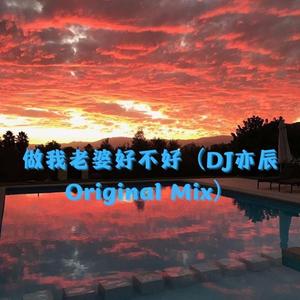 徐誉滕-做我老婆好不好（亦辰Mix remix）
