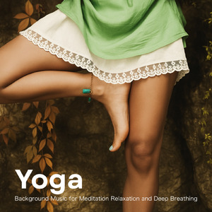 癒し音楽-読書に没頭-