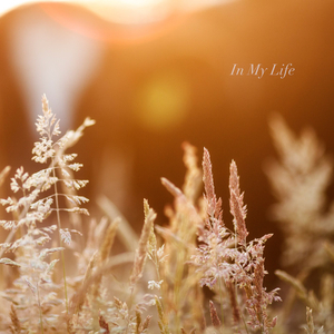 In My Life