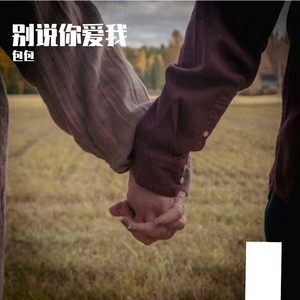 别说你爱我