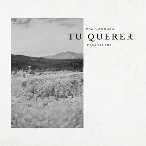Tu querer (Acústico)